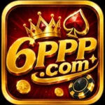 6PPP