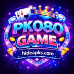 PK080 Game